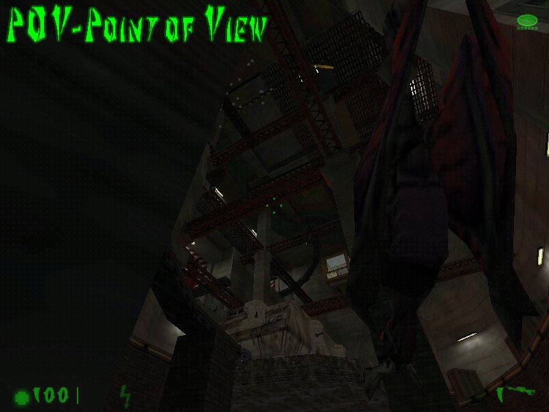 Point of View
