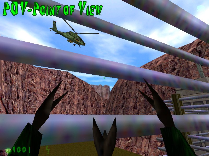 Point of View