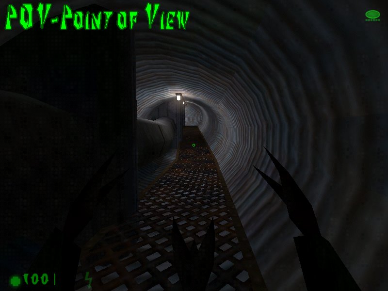 Point of View