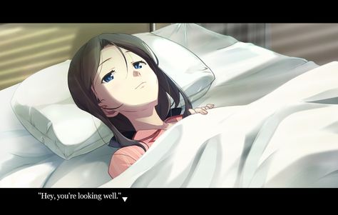 Narcissu: Himeko’s Epilogue