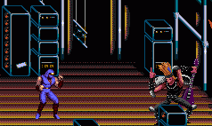 Ninja Gaiden
