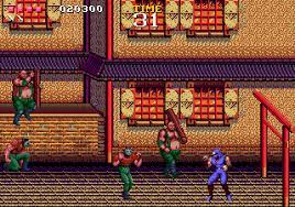 Ninja Gaiden