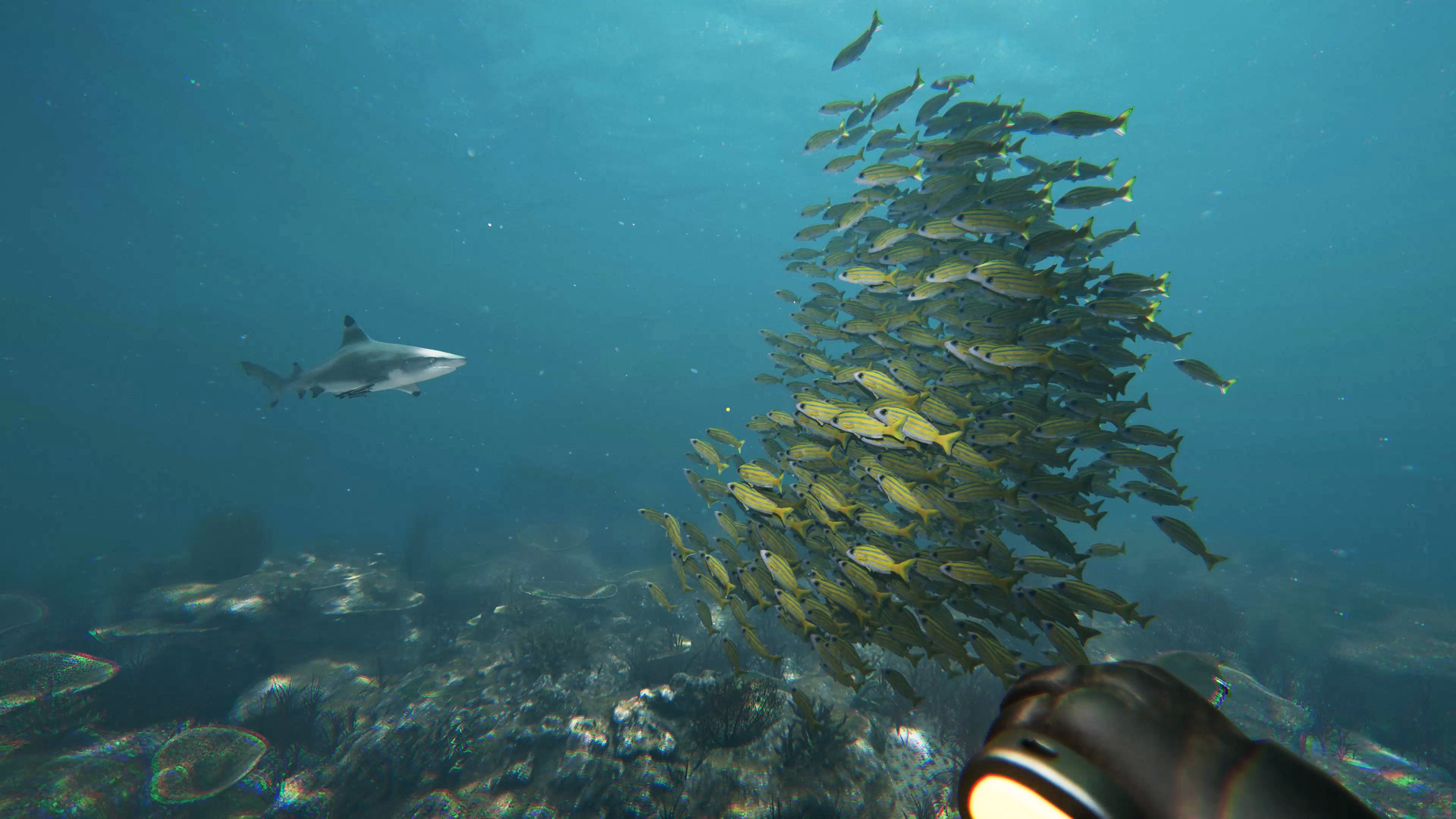 Death in the Water 2