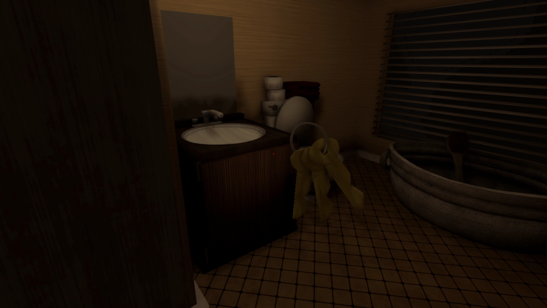 The Man From the Window