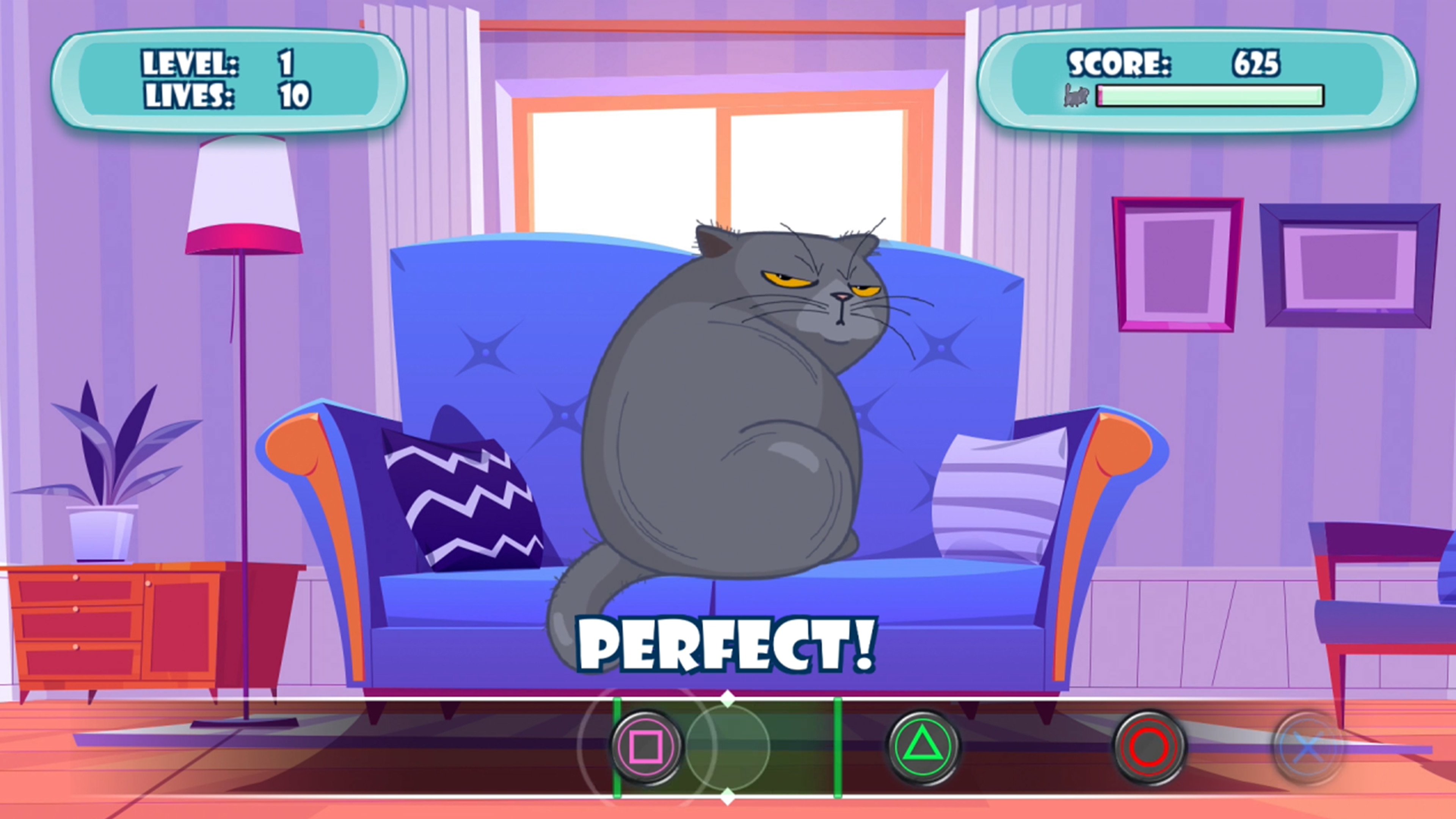 Cat Fun