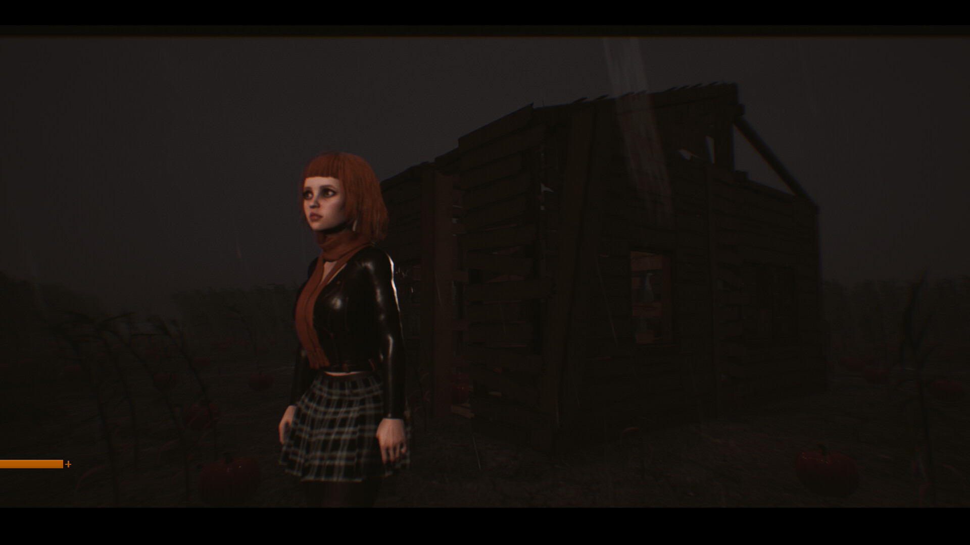 Patty’s Pumpkin Patch