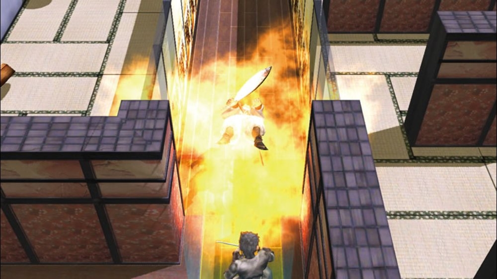 Shadow Assault: Tenchu