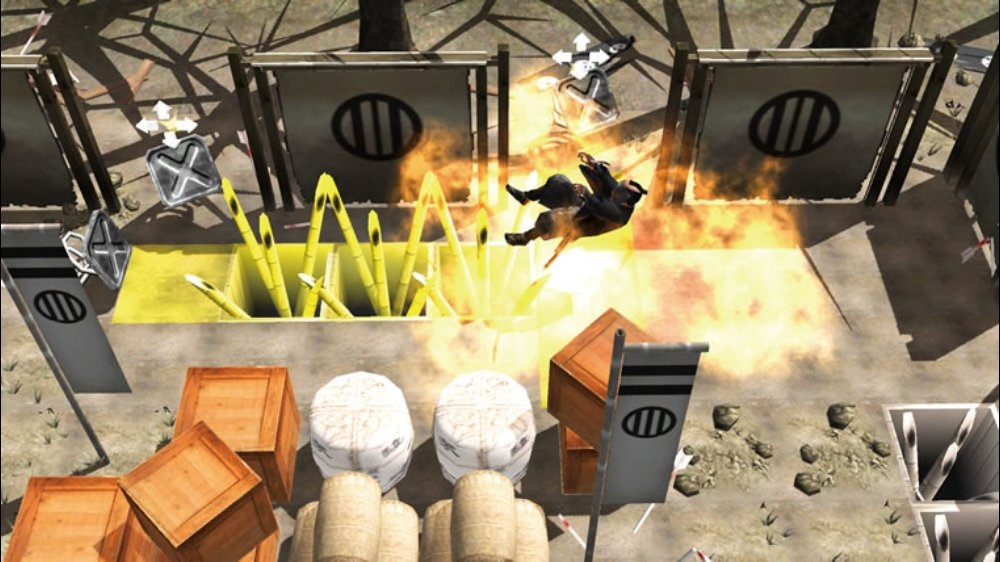 Shadow Assault: Tenchu