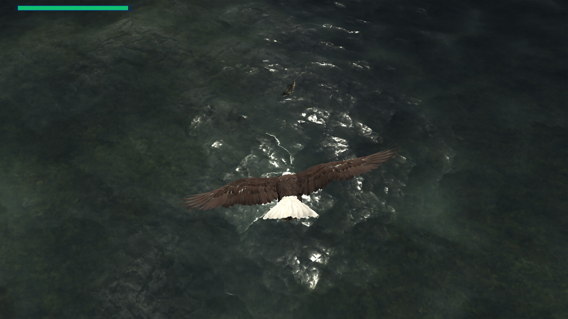 Eagle Hunting Journey