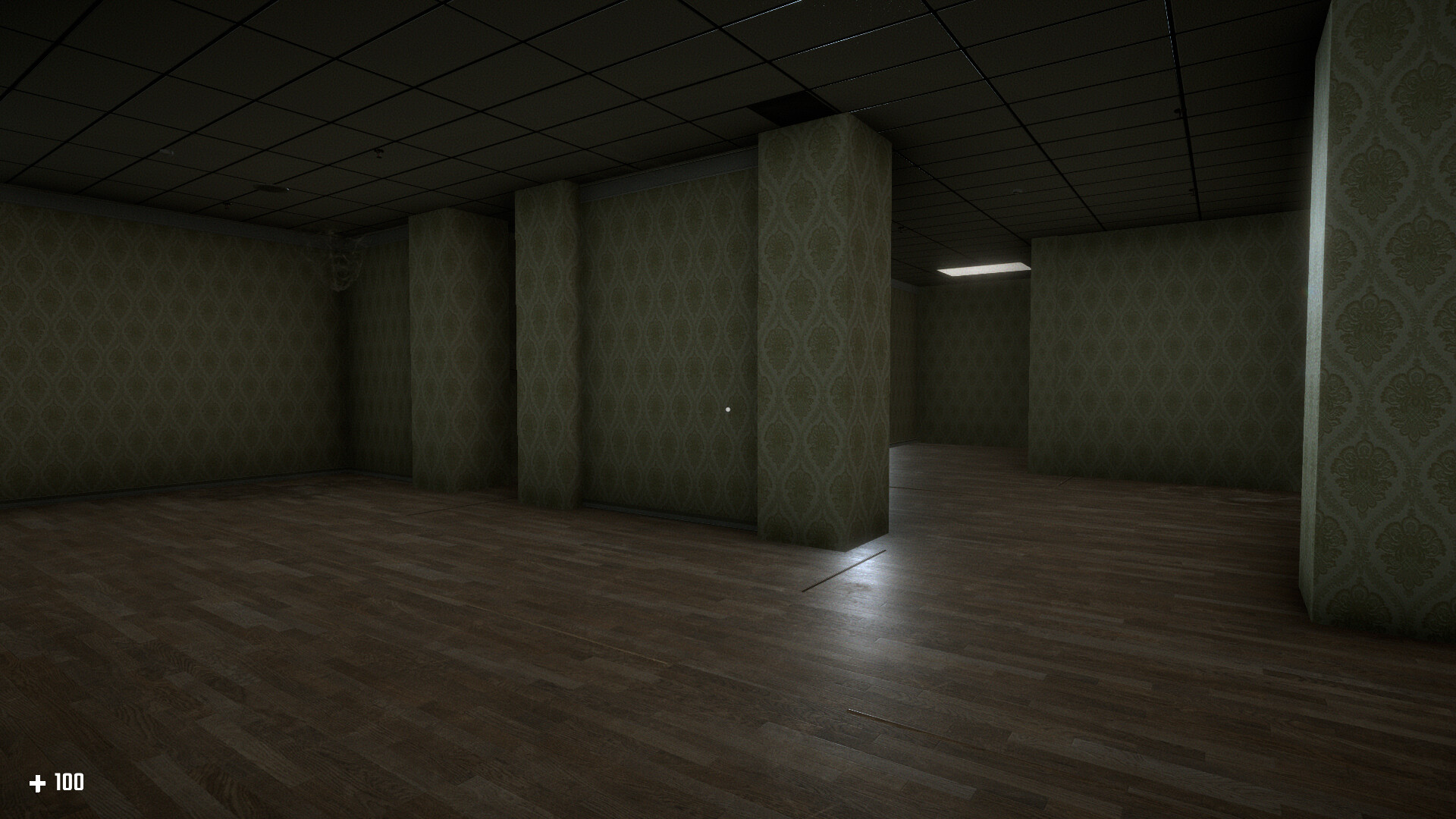 Survival in the Backrooms