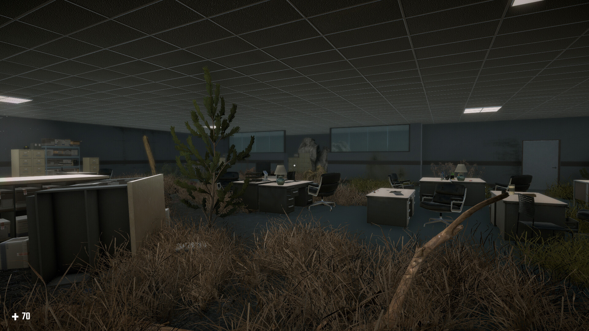 Survival in the Backrooms
