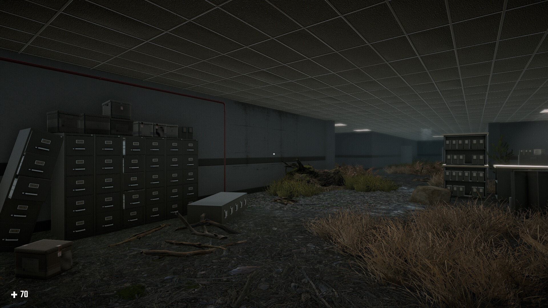 Survival in the Backrooms