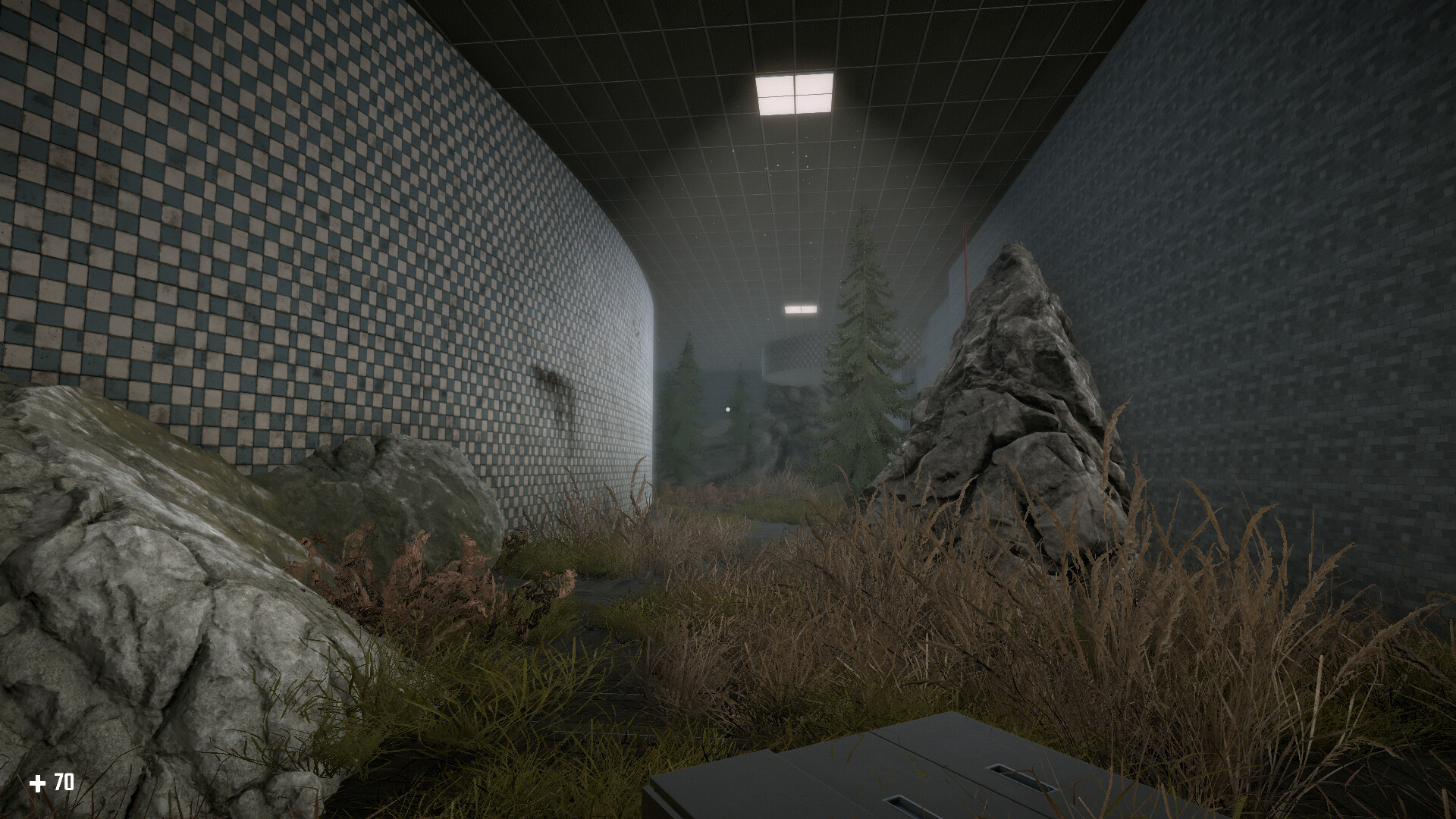 Survival in the Backrooms