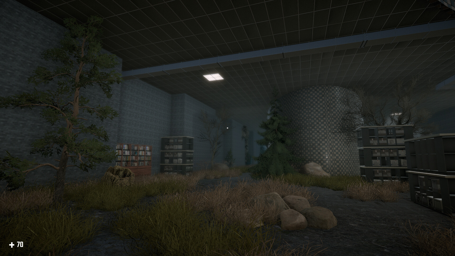 Survival in the Backrooms
