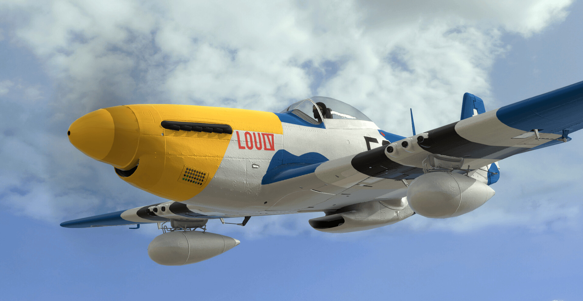 RealFlight Evolution