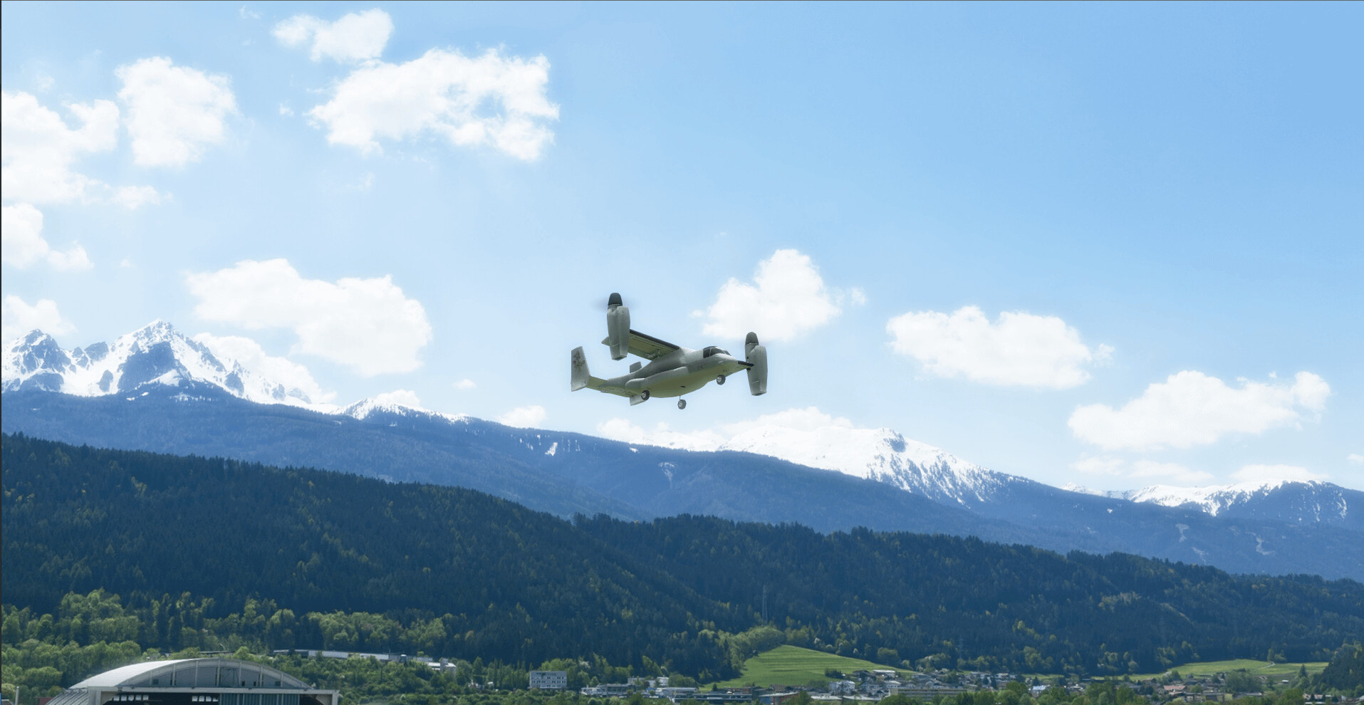 RealFlight Evolution