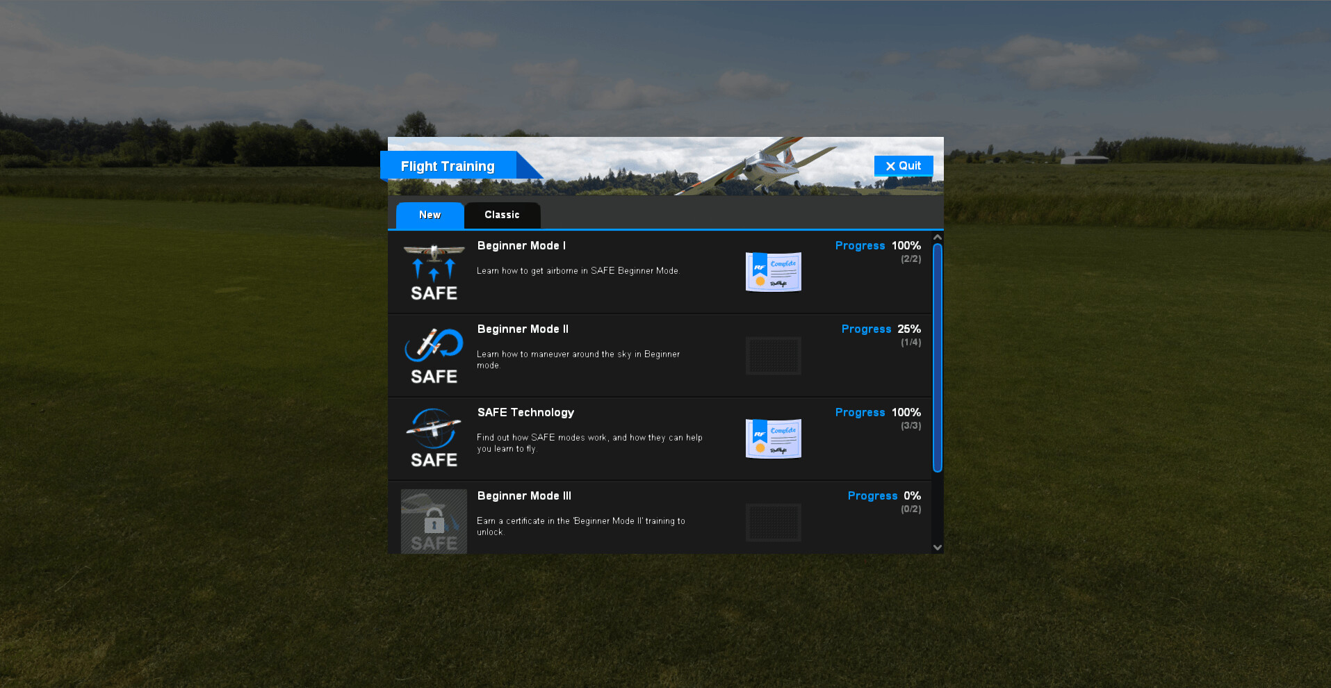 RealFlight Evolution