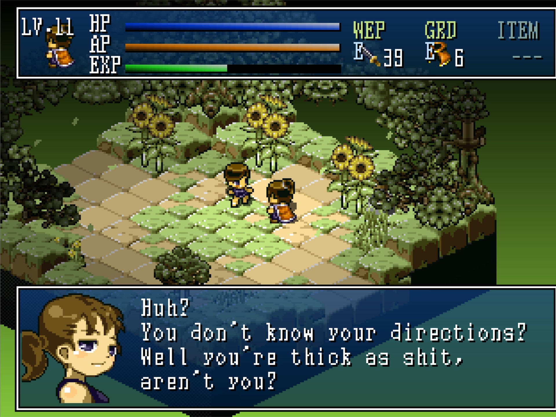 Hakoniwa Explorer Plus