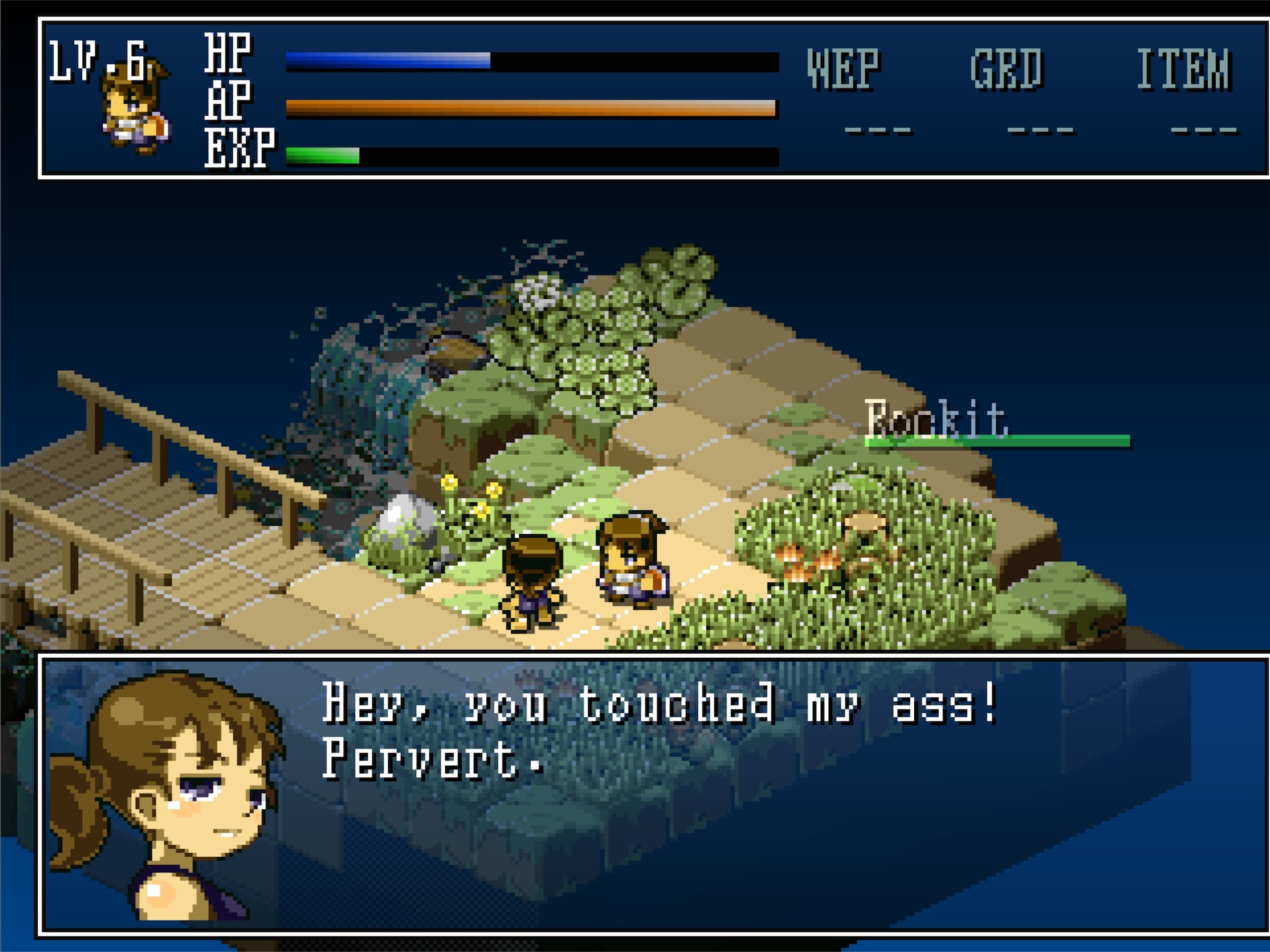 Hakoniwa Explorer Plus