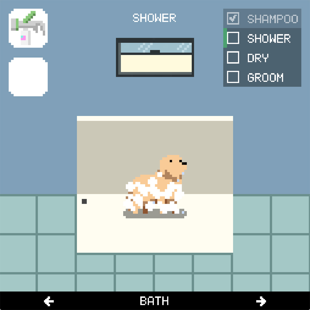 Dog Wash!