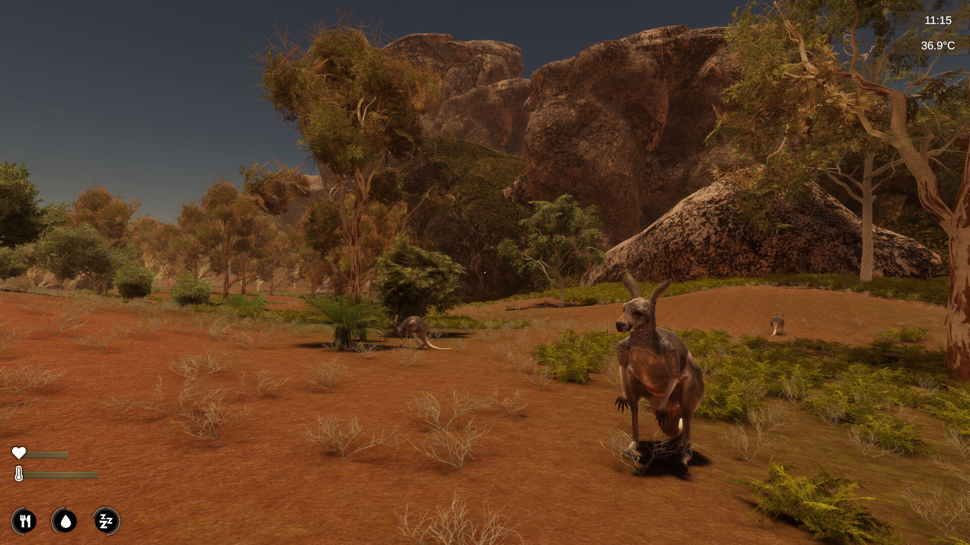 Alone in the Outback
