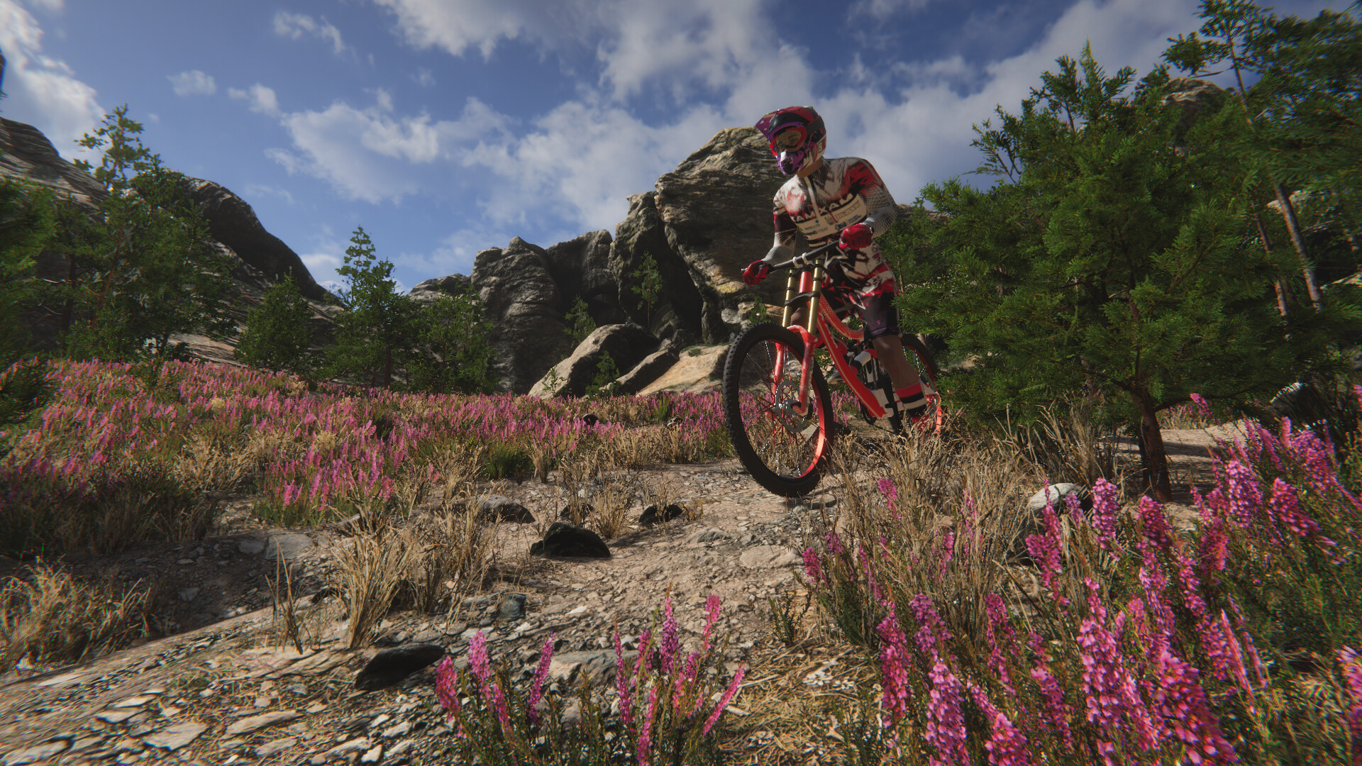 Traildown: Downhill Mountain Biking