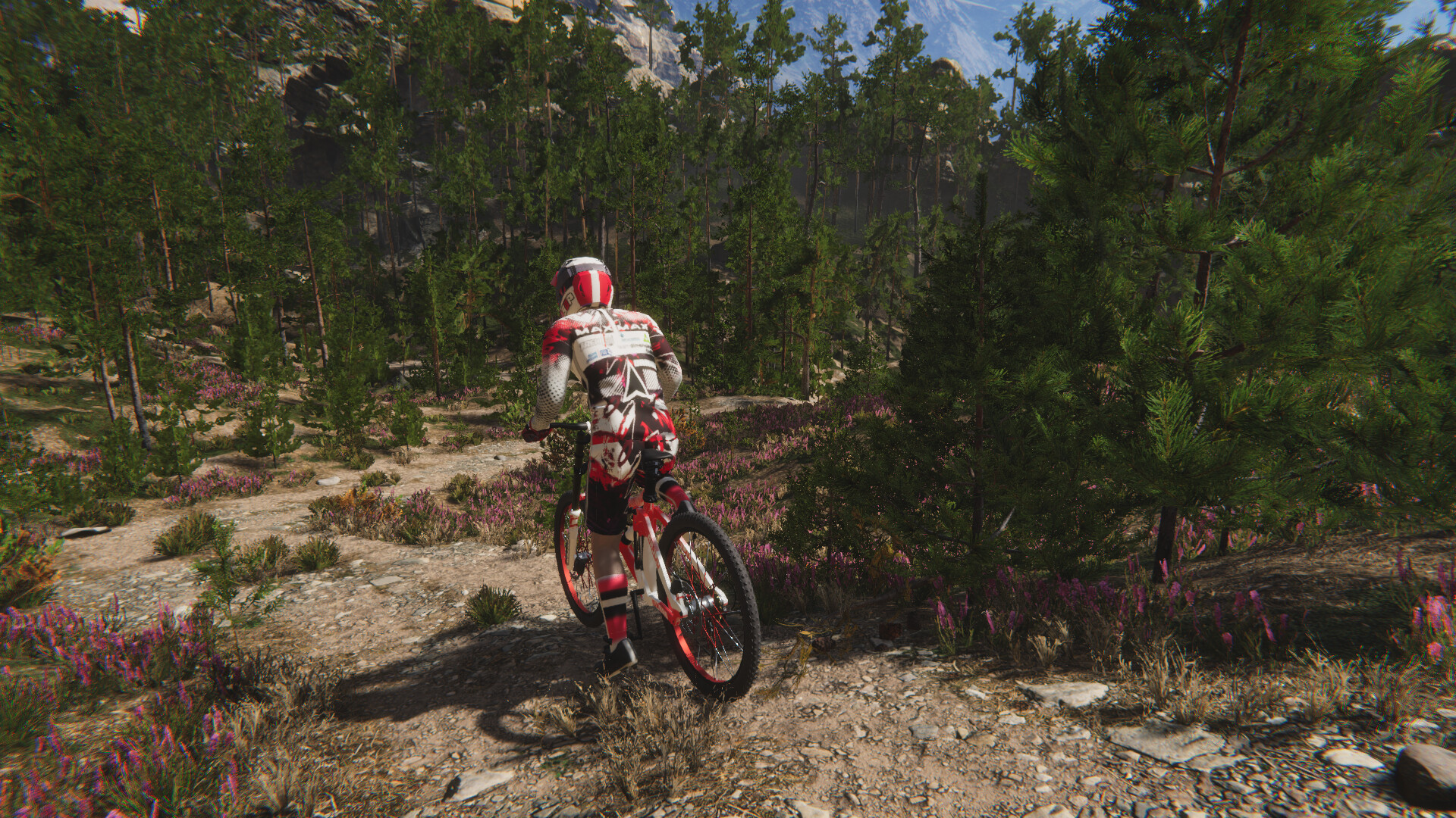 Traildown: Downhill Mountain Biking
