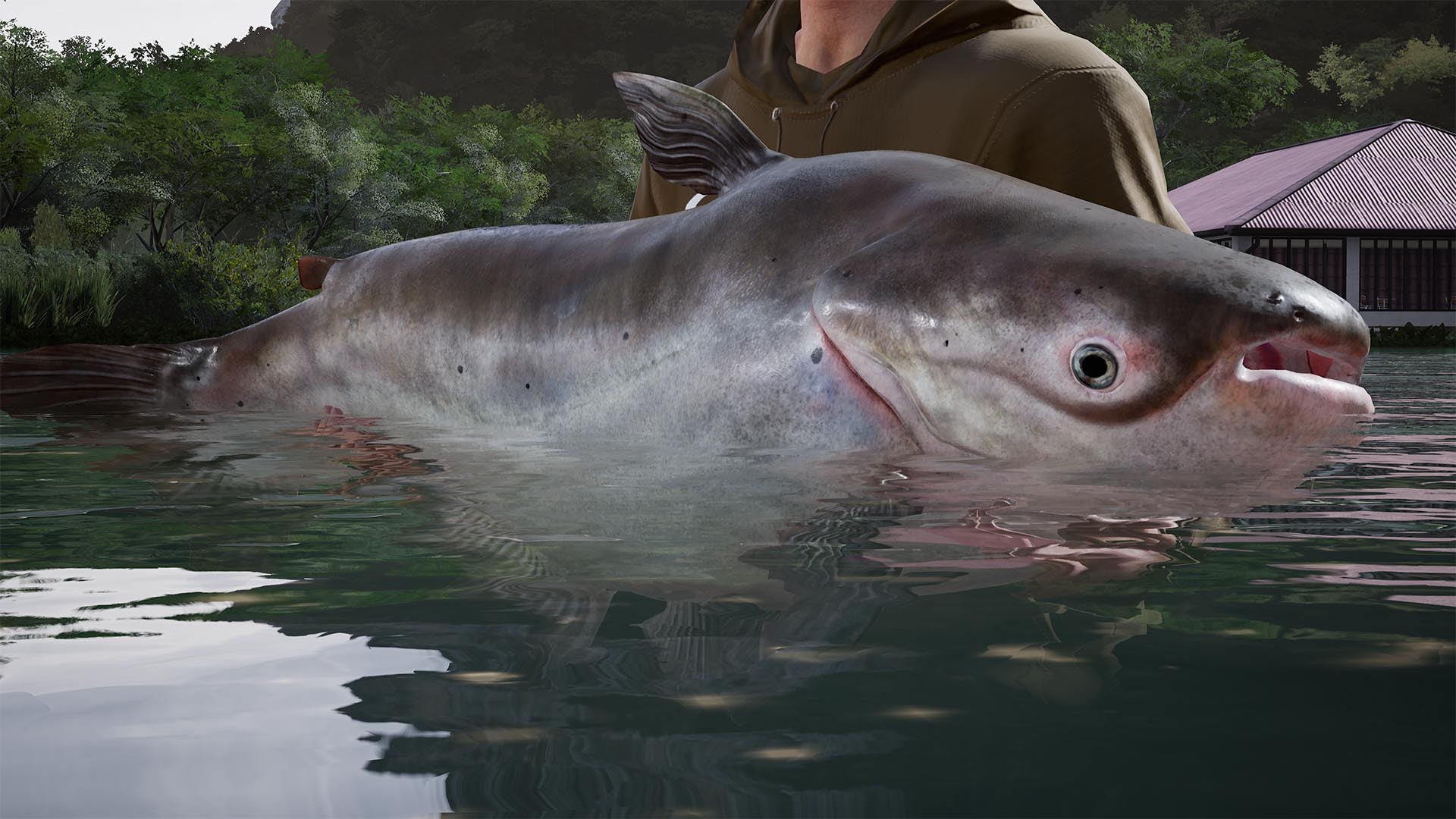 Fishing Sim World: Pro Tour – Giant Carp Pack