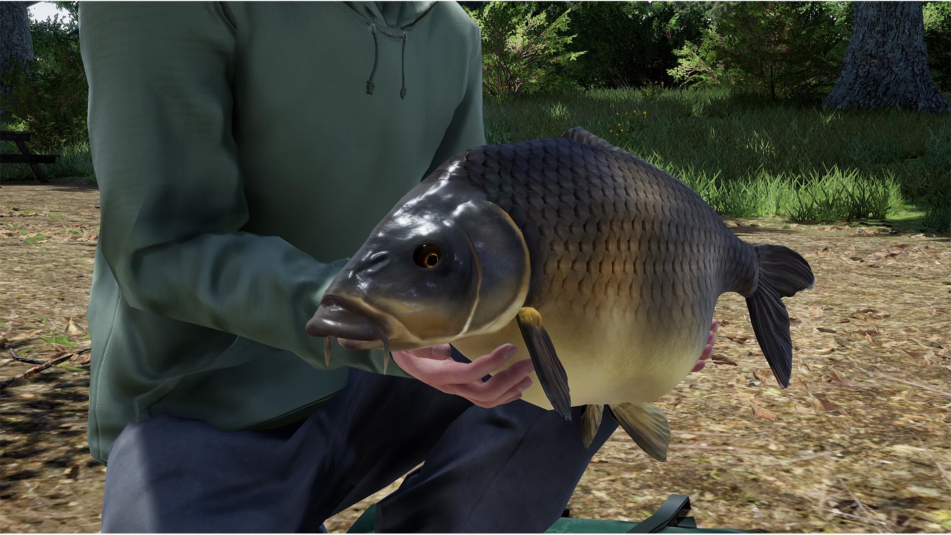 Fishing Sim World: Pro Tour – Giant Carp Pack