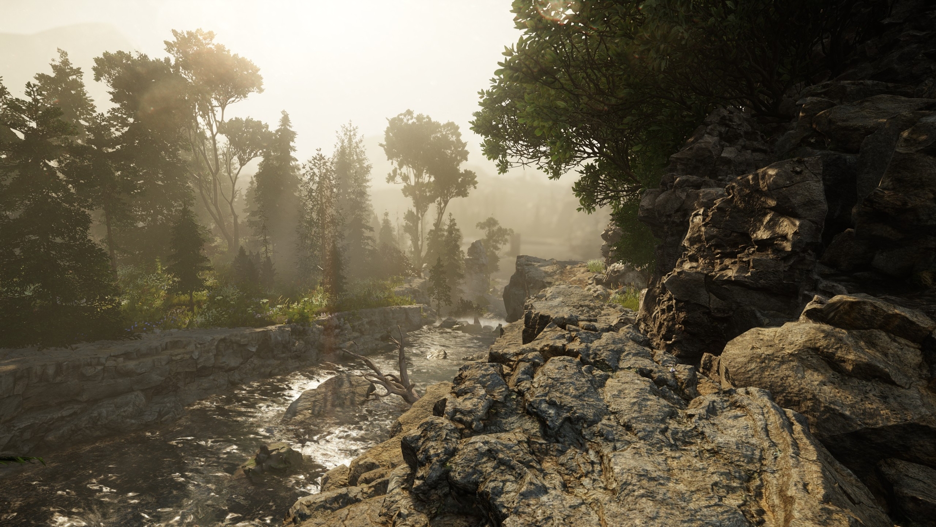 The Alien Cube: Deluxe Edition