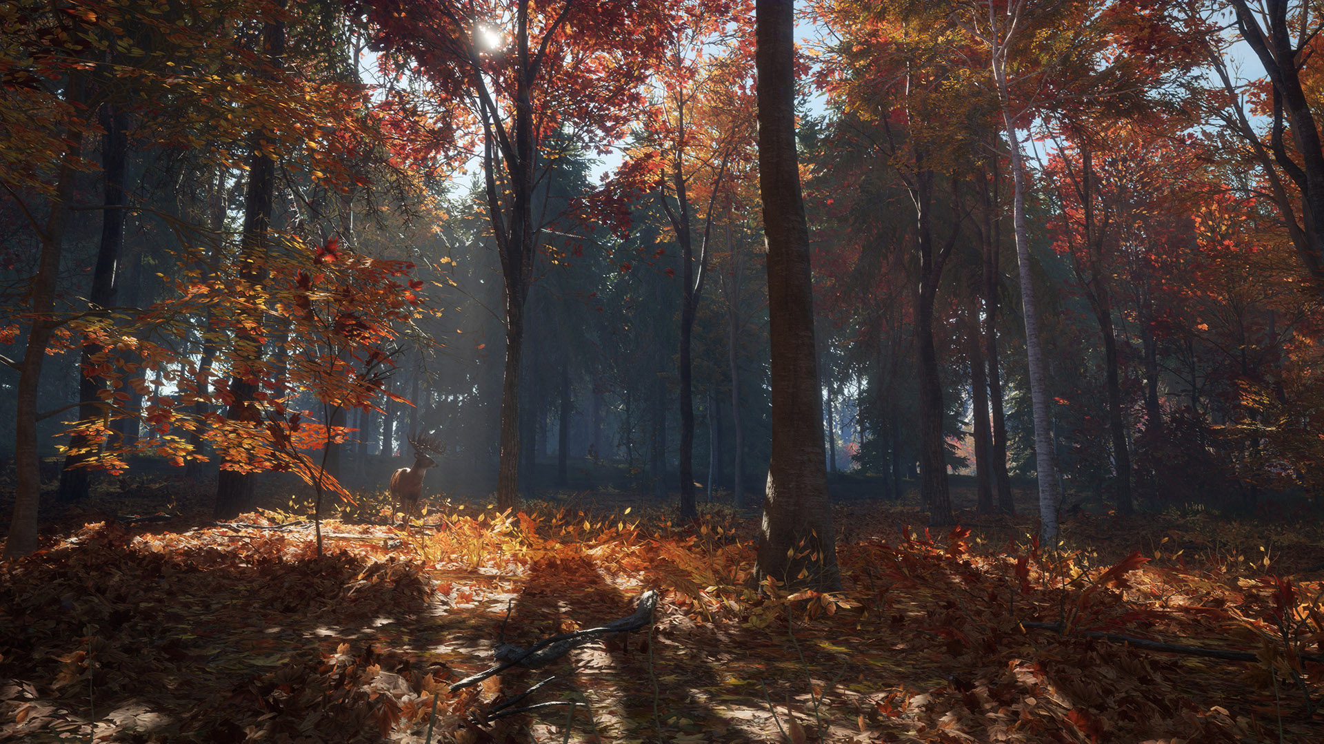 TheHunter: Call of the Wild – New England Mountains