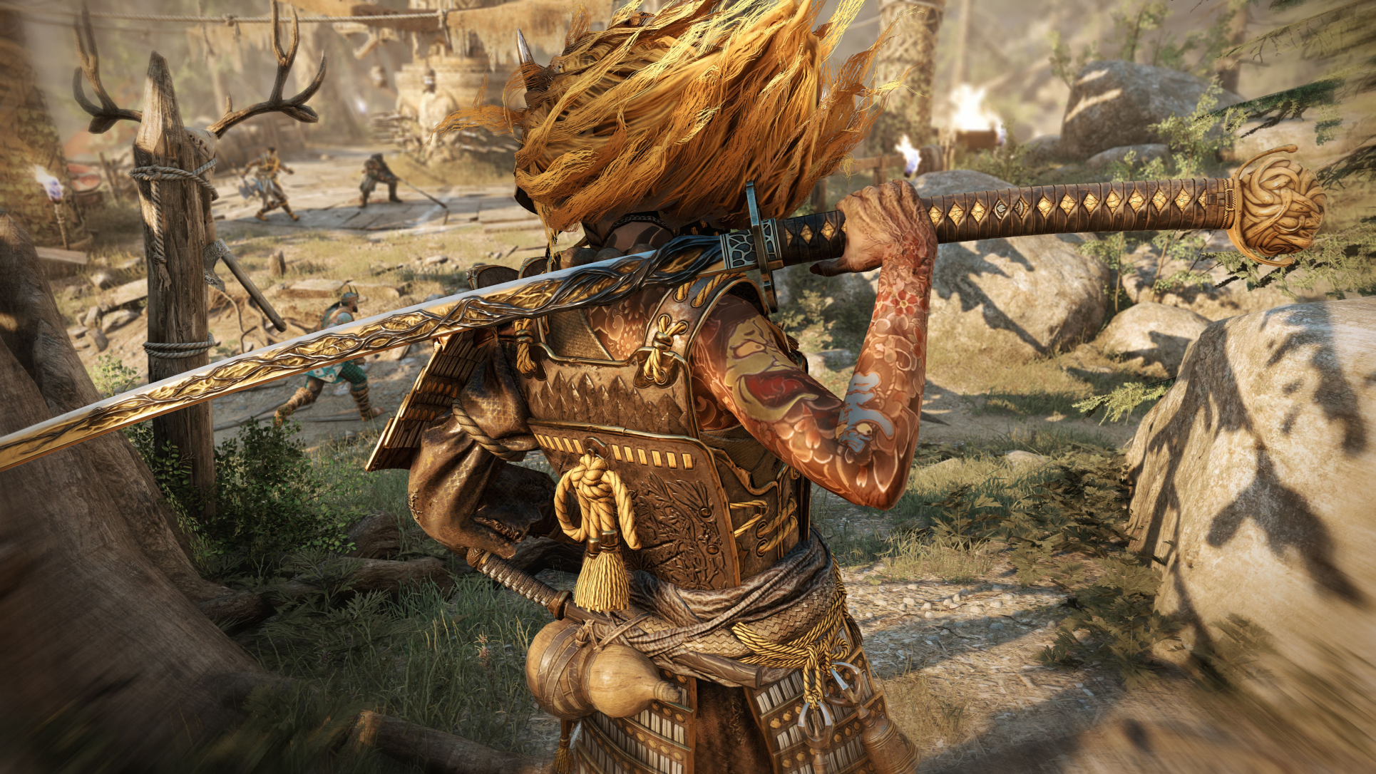 For Honor: Raider Hero Skin