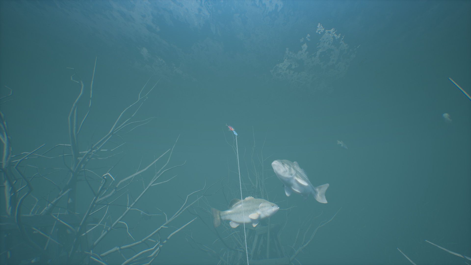 Bassmaster Fishing 2022: Classic Edition