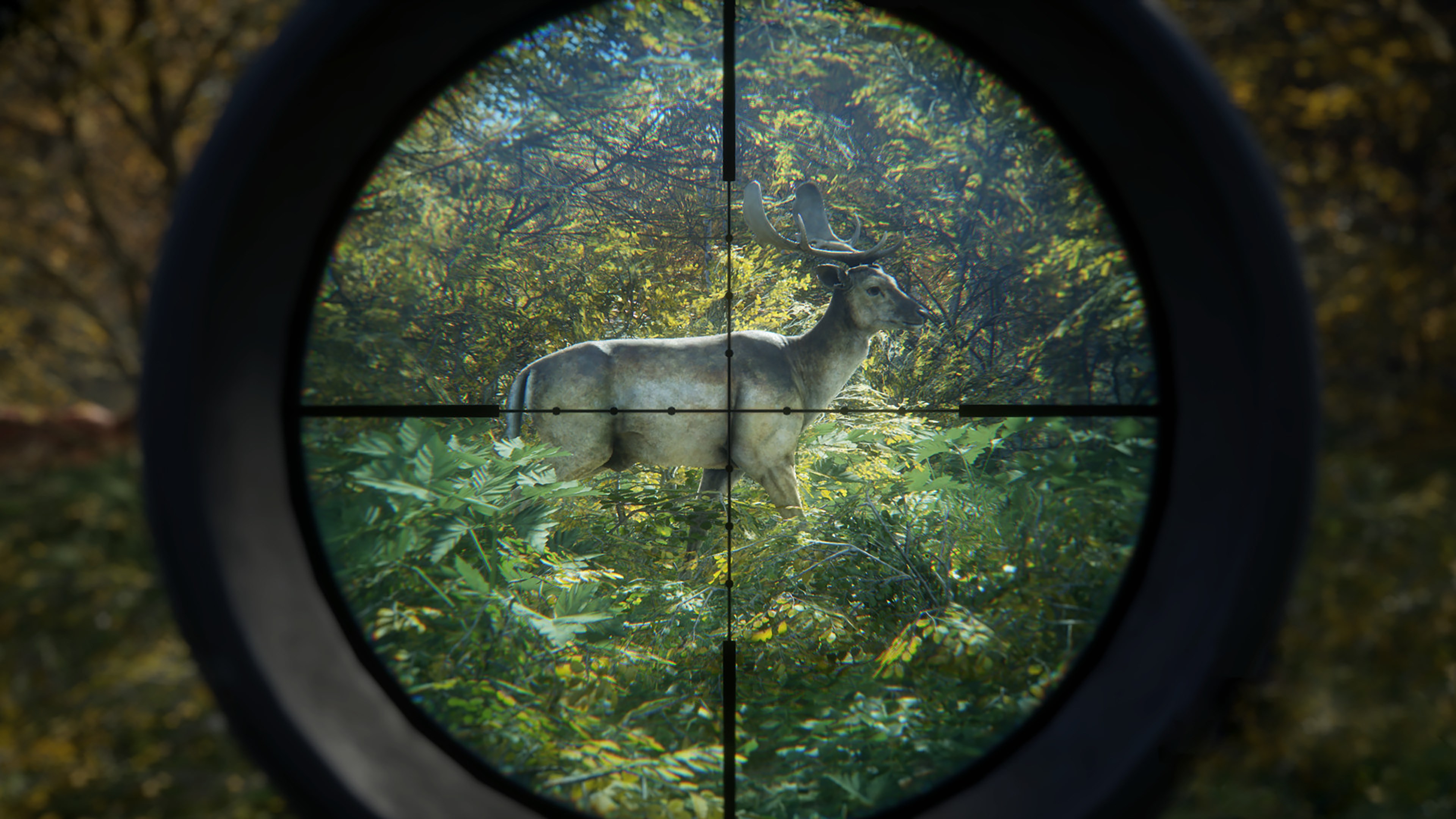 TheHunter: Call of the Wild – Seasoned Hunter Bundle
