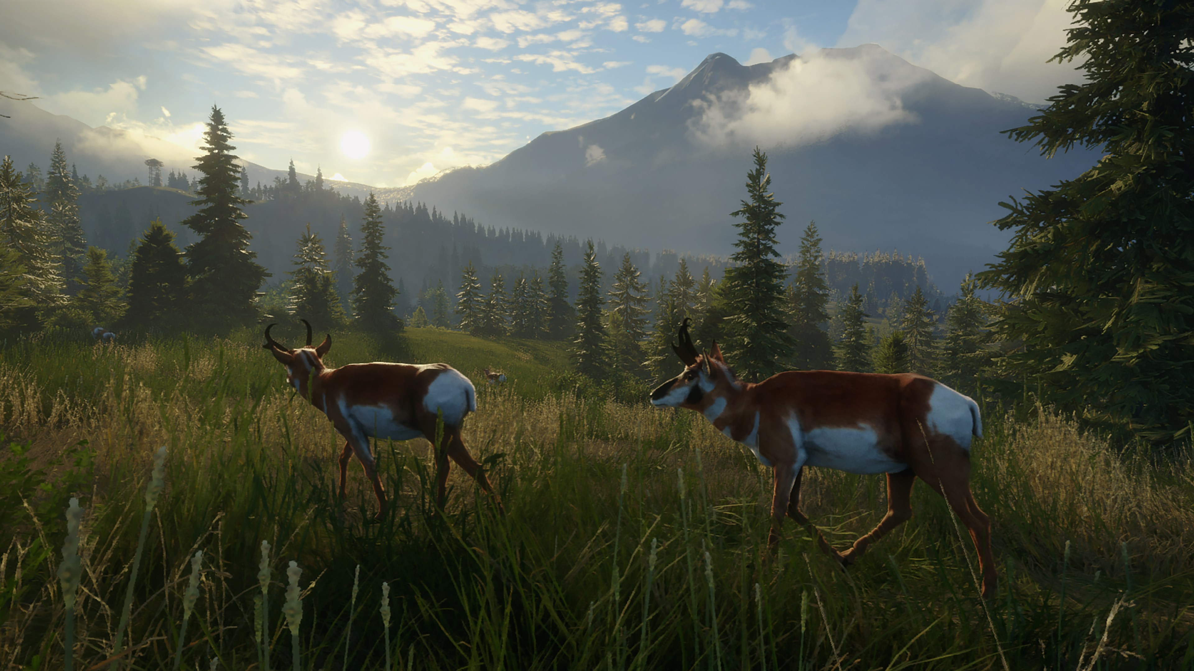 TheHunter: Call of the Wild – Seasoned Hunter Bundle