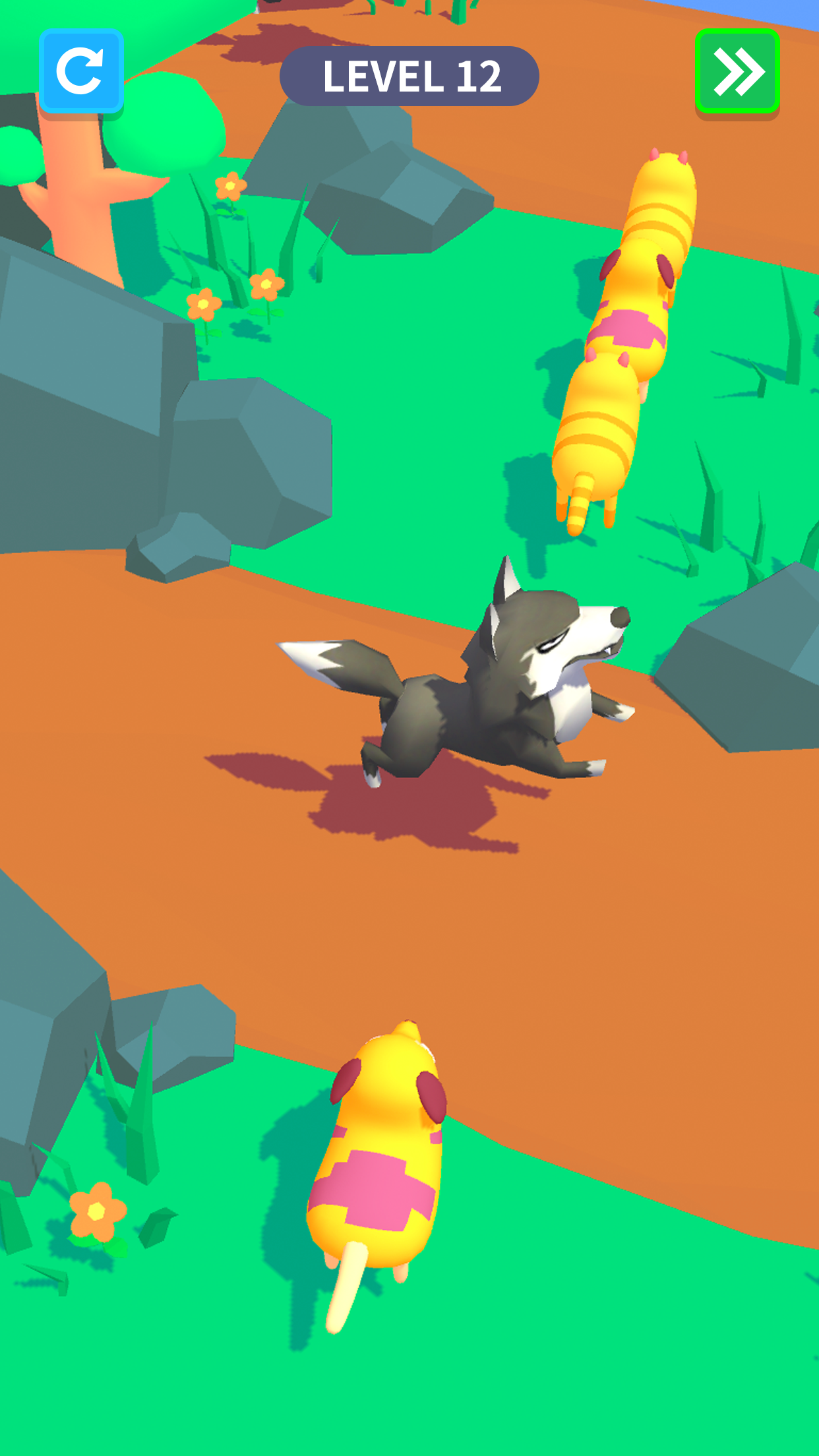 Animal Games 3D
