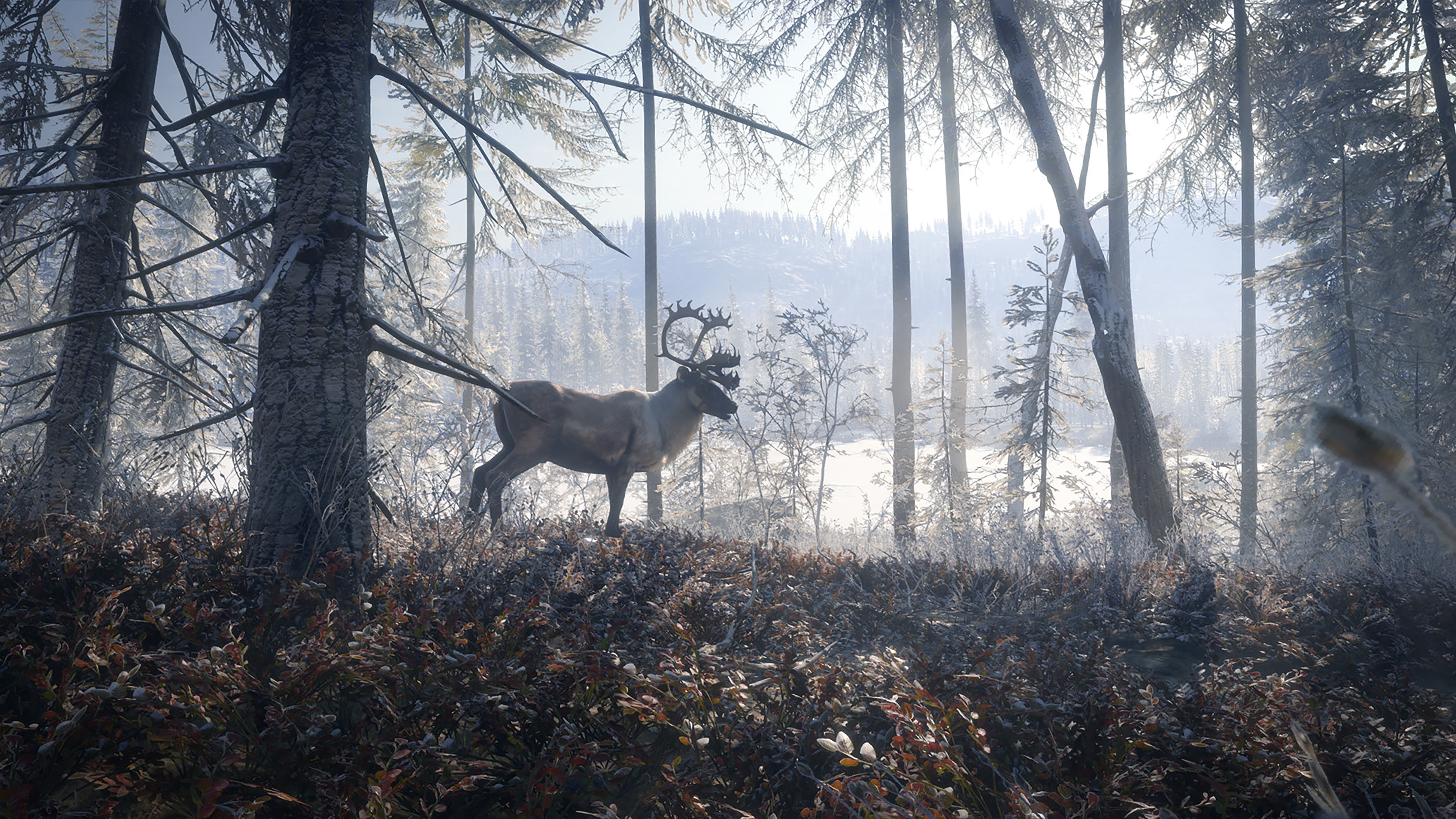 TheHunter: Call of the Wild – Master Hunter Bundle