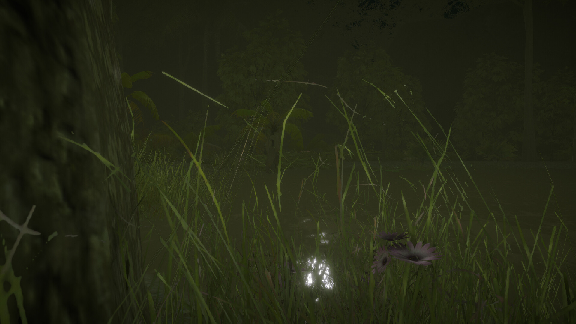 Maurice: In the Predator’s Nest