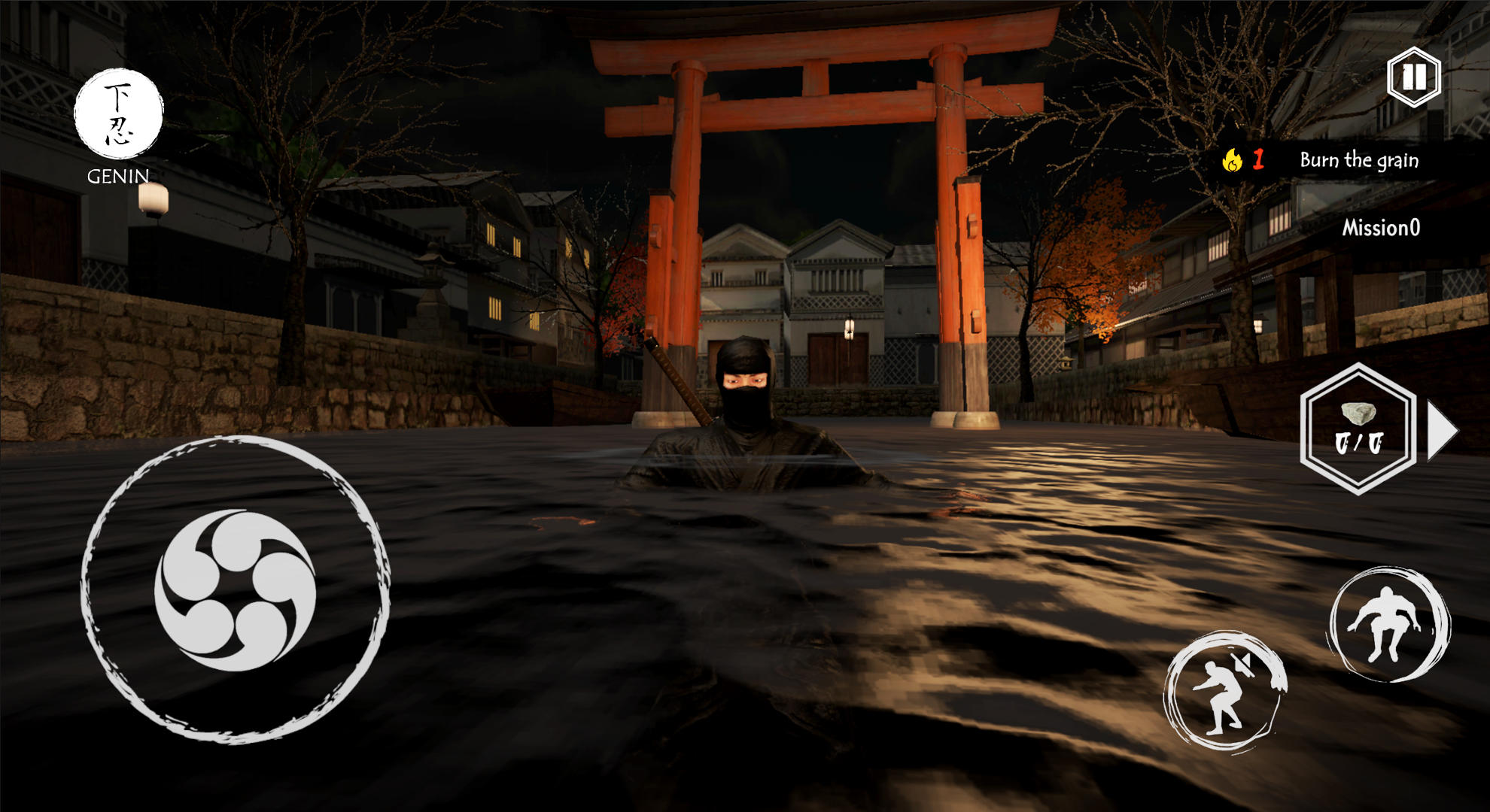 Ninja Assassin
