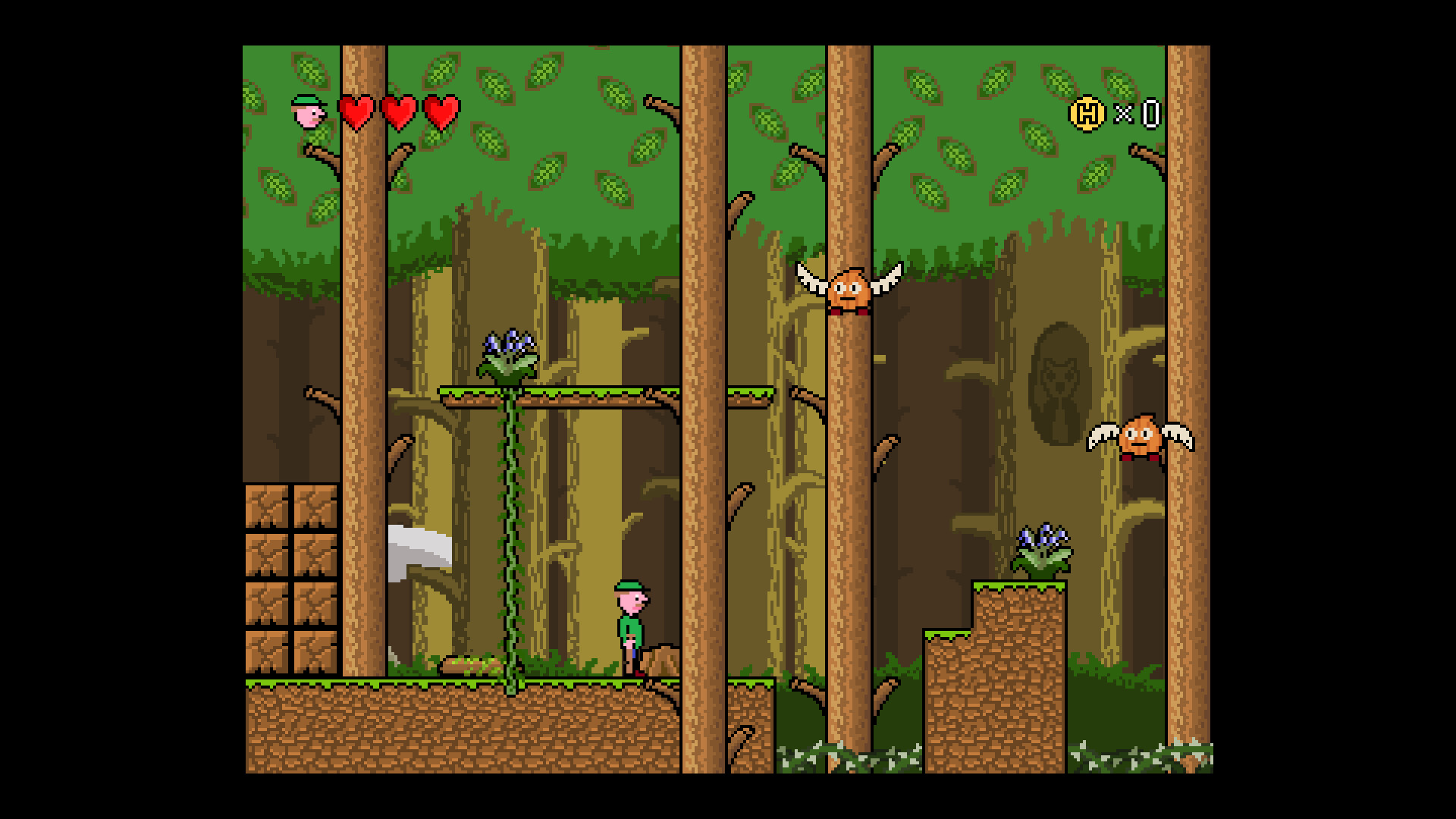 Hank’s Quest for Soup