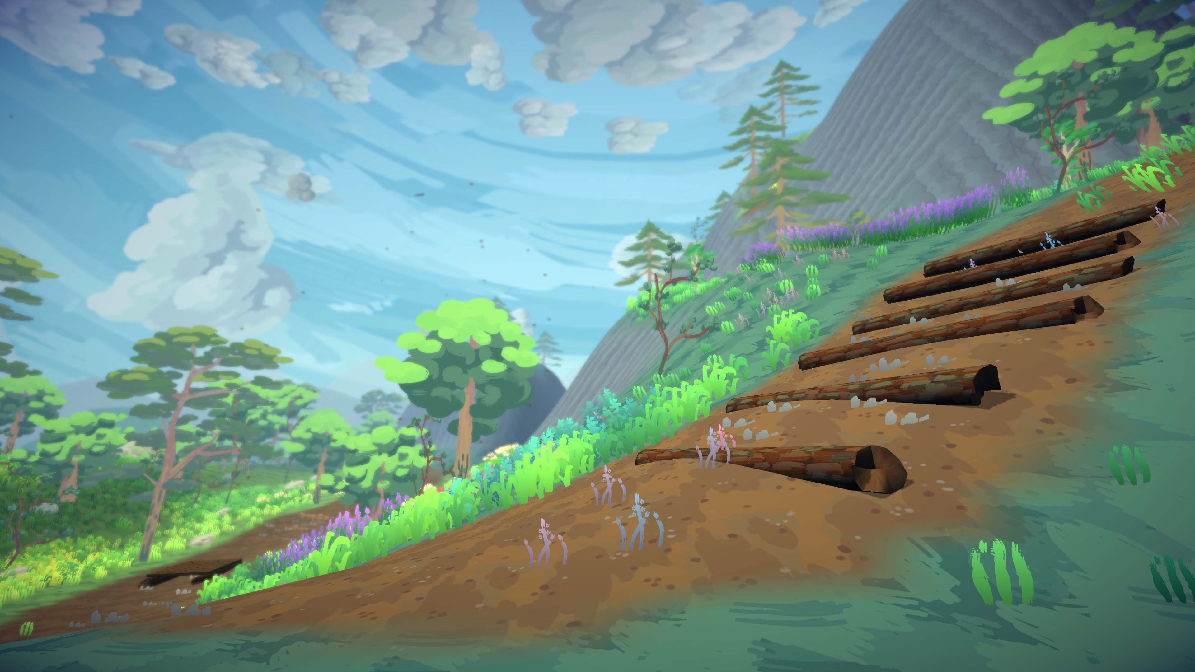 Walk Around this Place