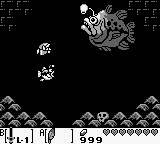 The Legend of Zelda: Link’s Awakening
