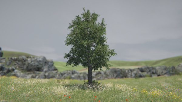 Tree Simulator 2021