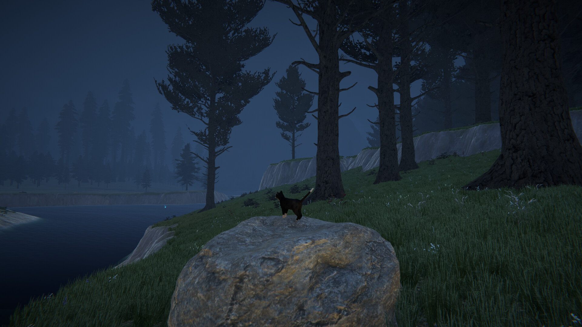 Cat Life