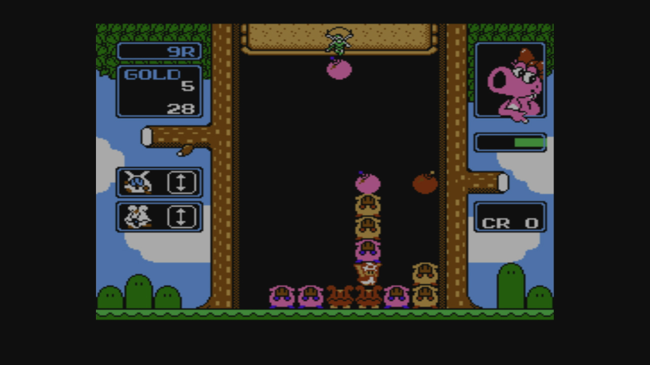 Wario’s Woods
