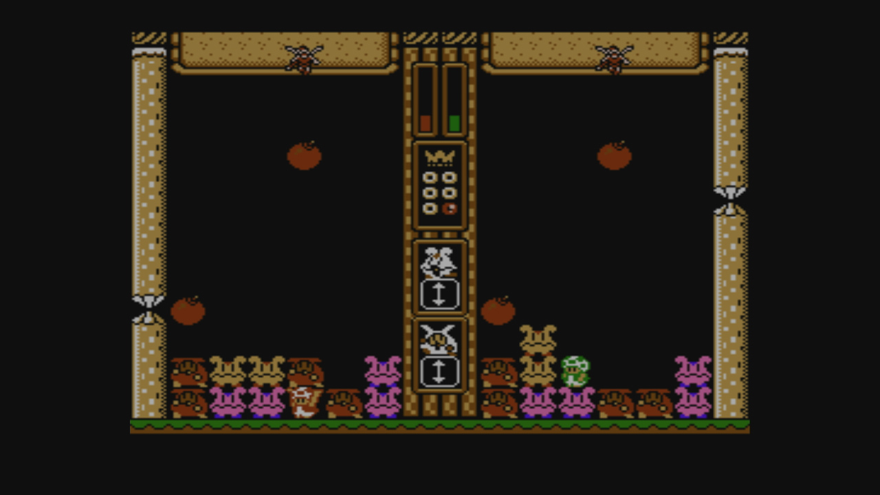 Wario’s Woods