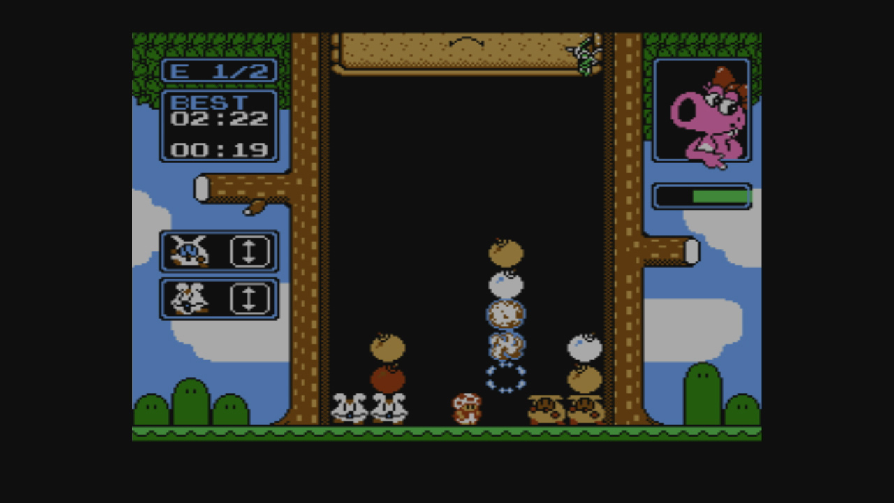 Wario’s Woods