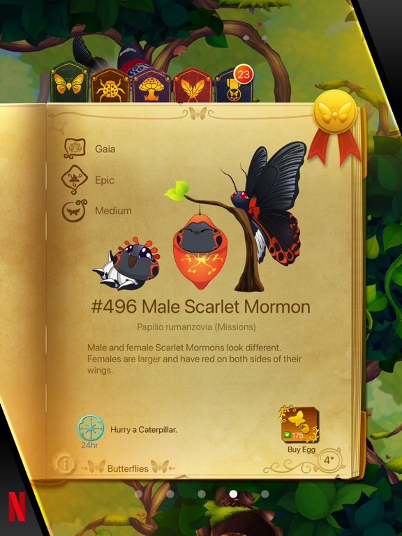 Flutter: Butterfly Sanctuary