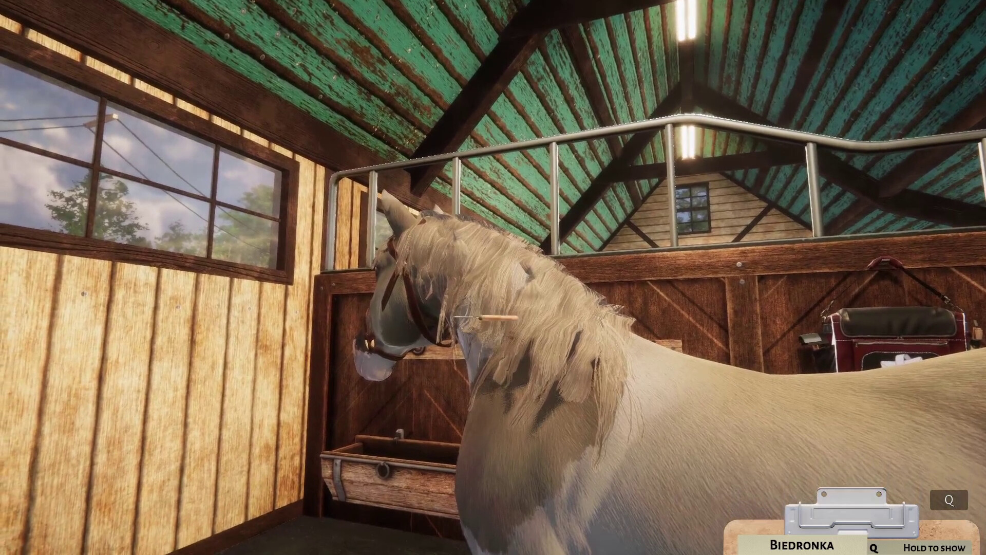 Animal Shelter Simulator: Horse Shelter DLC