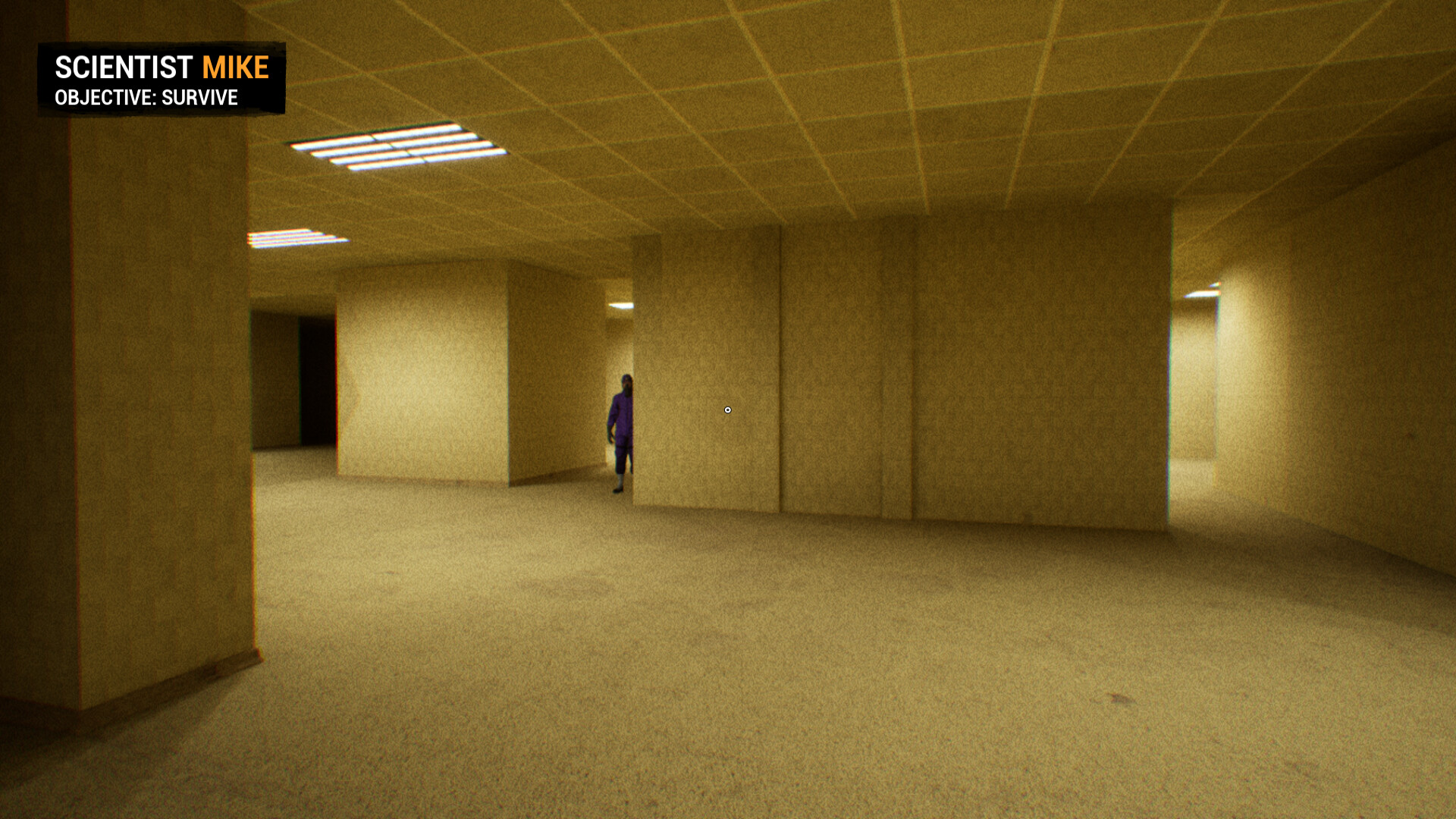 Backrooms: Apprehension